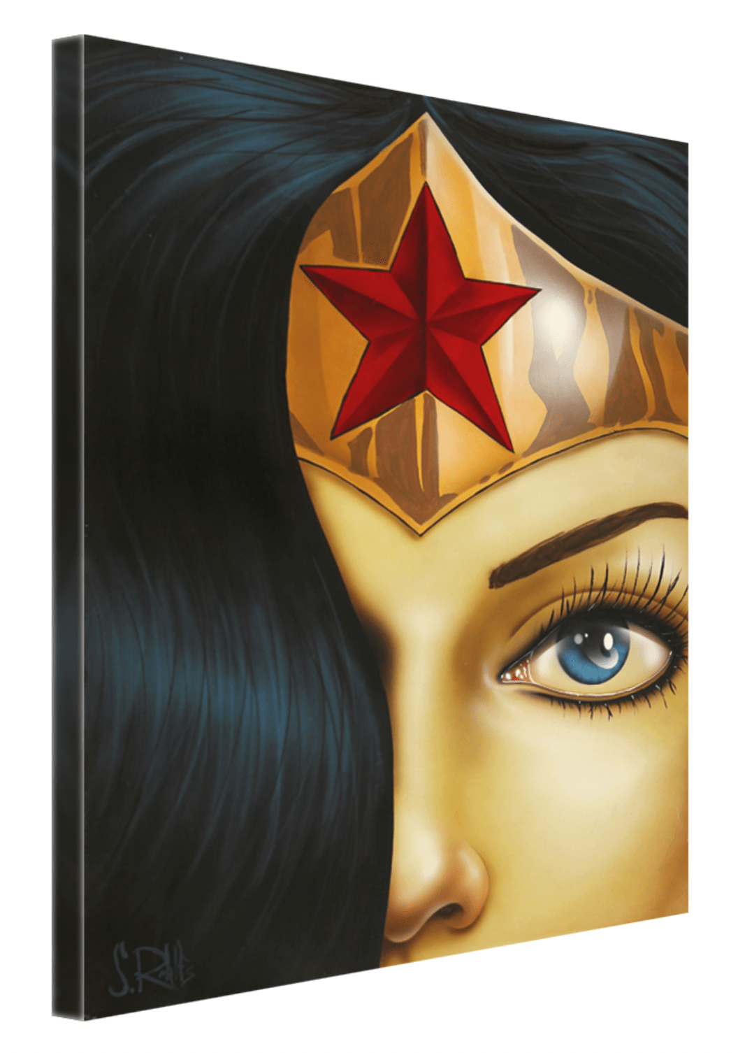 Miss Wonderful - Scott Rohlfs Art