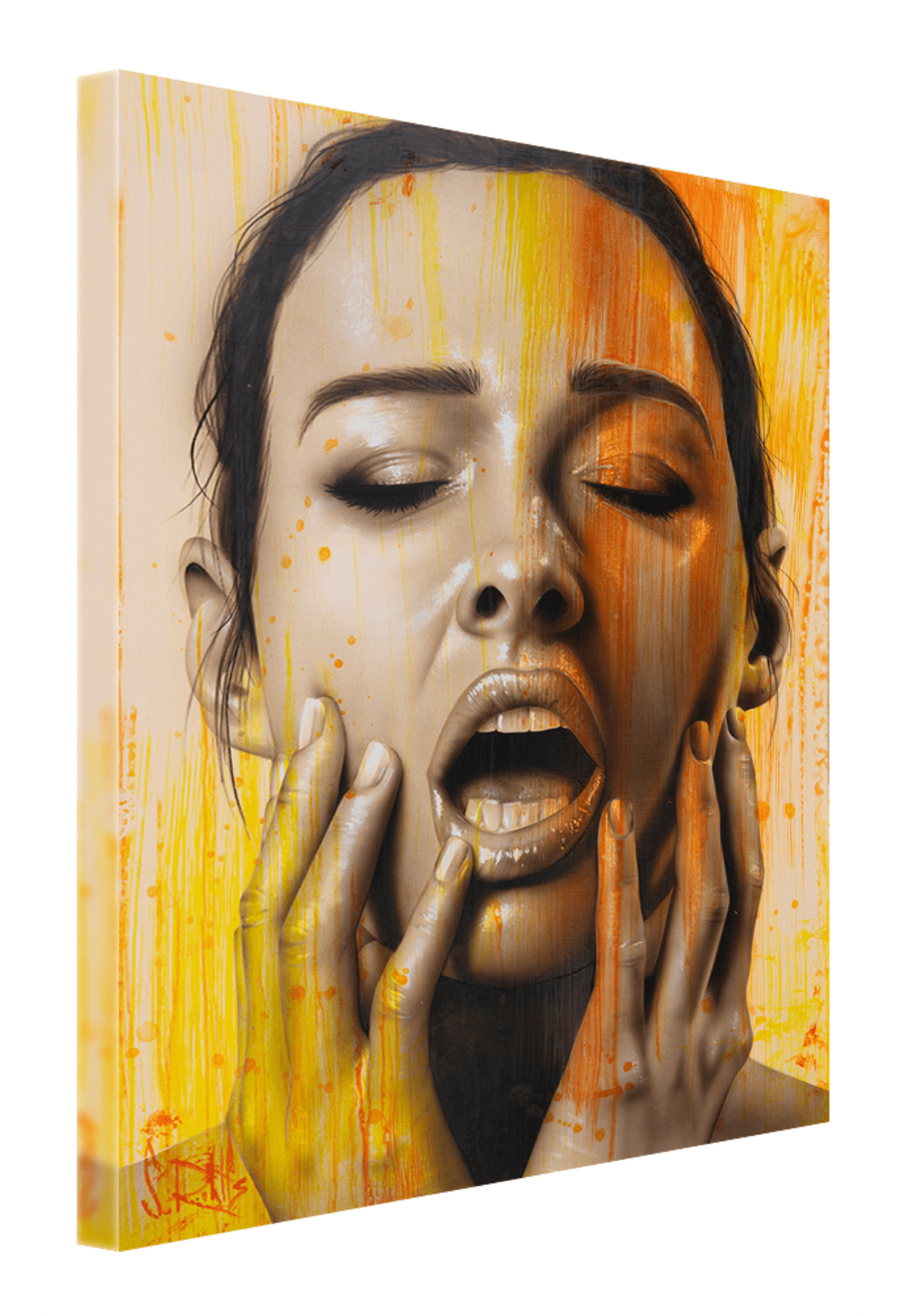 Feel Something - Scott Rohlfs Art